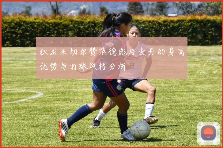 狄龙米切尔赞范德彪与麦丹的身高优势与打球风格分析